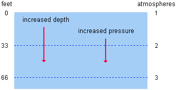 illustration of increased water pressure with increased depth