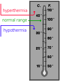 Human for normal temperature Normal body