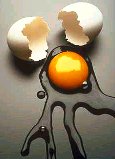 photo of a broken chicken egg--an example of an amniote egg