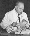 photo of Raymond Dart with the Taung Child