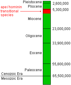 Cenozoic Era time chart focusing on when the ape/hominid transitional species lived