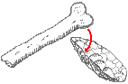drawing of percussion flaking a hand ax with a soft hammer (bone in this case)