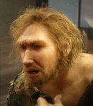 photo of a realistic model of a Neandertal man with pale skin and red hair 