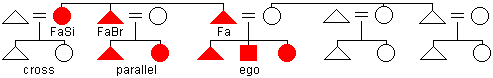 Diagram of patrilateral cross and parallel cousins