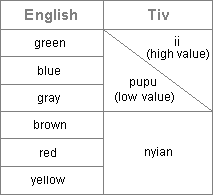 comparison of English and Tiv color terms