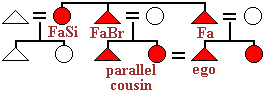 Kinship diagram showing patrilateral parallel cousin marriage in a society with patrilineal extended families