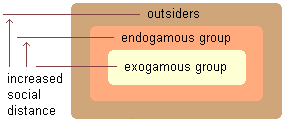 illustration of the connection between endogamy and exogamy