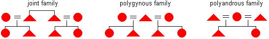 joint, polygynous, and polyandrous family diagrams