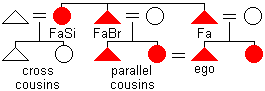 diagram of a patrilineal descent pattern with the partilateral parallel cousins highlighted