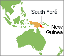 Map of the Southwest Pacific showing the location of the South For in New Guinea