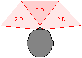 drawing of a human head shown from above with the field of view of each eye superimposed to show the overlapping vision range