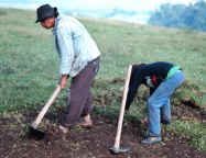 Photo of two Colombians using hand tools to farm