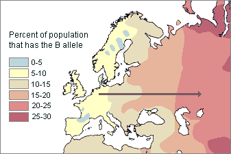 map of Europe showing B blood type allele clines--the frequenices of B type progressively increase from Western to Eastern Europe--in the west they are as low as 0-5% B, while in the east they are as high as 25-30% B